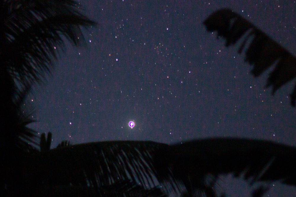 Photograph by Dewindu H. Fernando