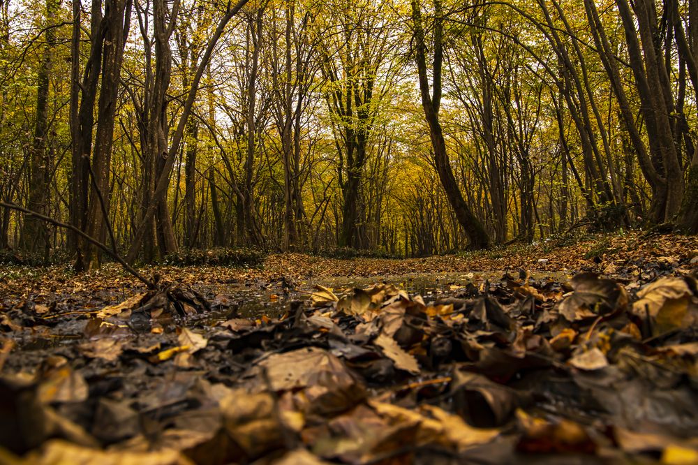 Photograph by reza haghjooy