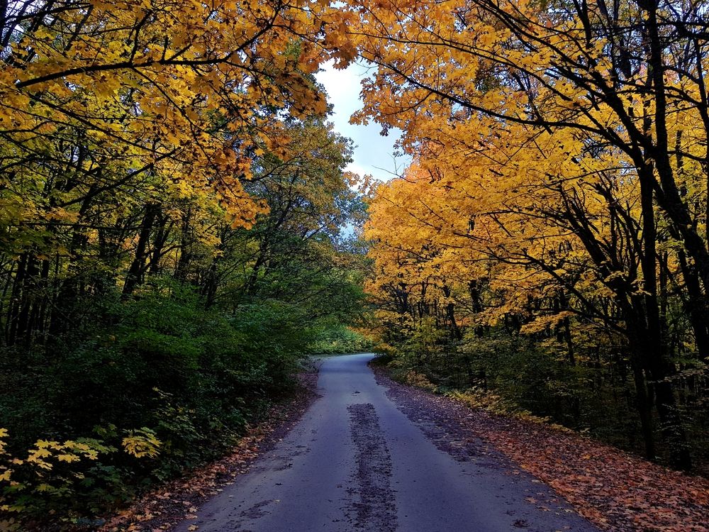 Photograph by Григорий Гуцол