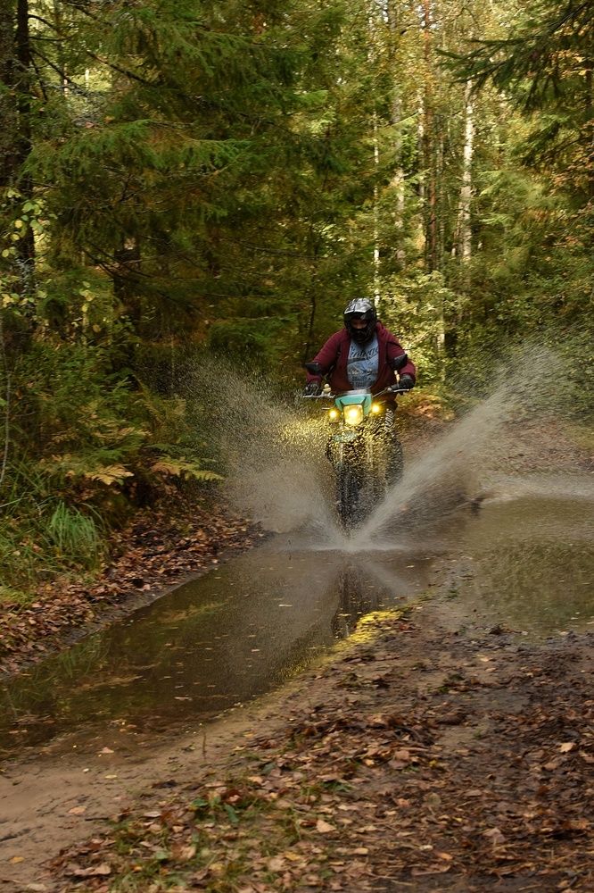 Photograph by Татьяна Абабкова