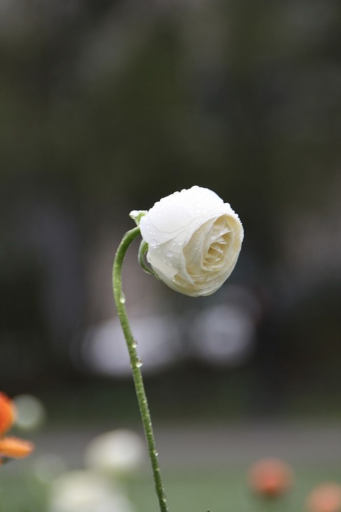 Photograph by Viktorija Bočarova