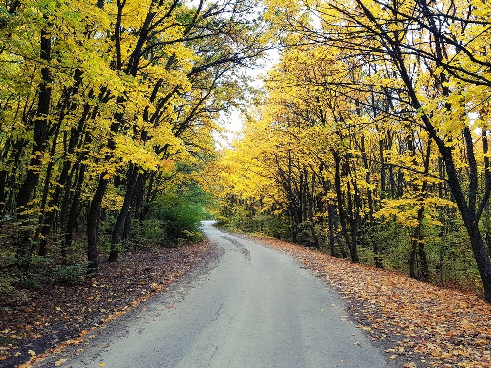 Photograph by Григорий Гуцол