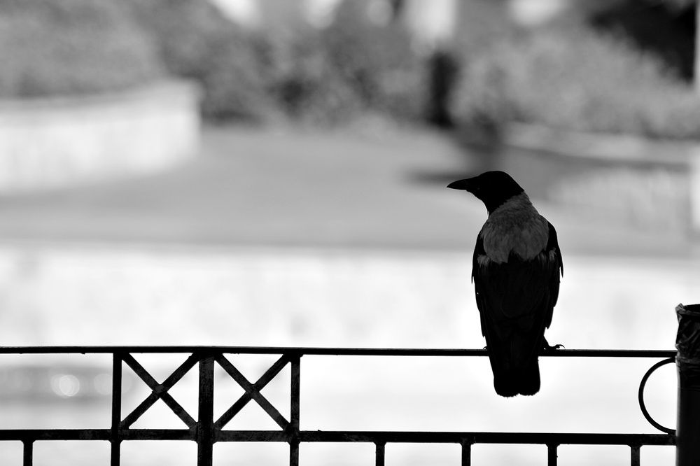 Photograph by Donka Vladimirova