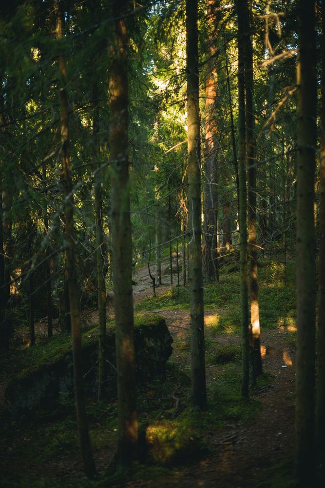 Photograph by Лина Лазарева