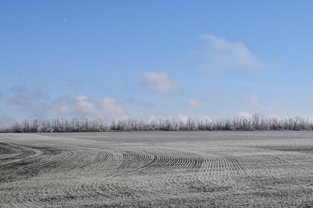 Photograph by Олег Алексеев