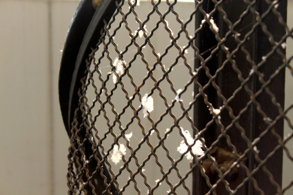 Photograph by Valeria Arcuri