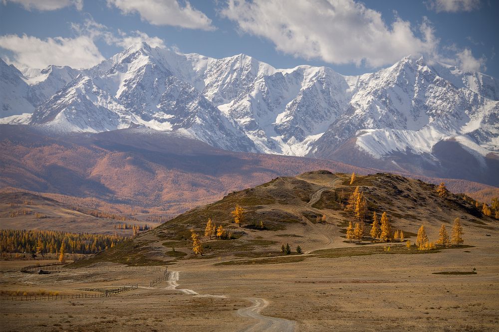 Фотография автора Марина Юдинских