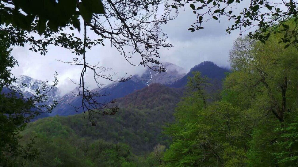 Photograph by Nunu Gambashidze