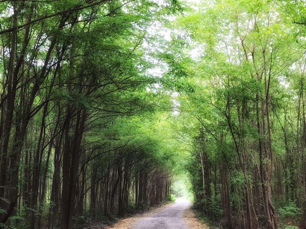 Photograph by Nunu Gambashidze