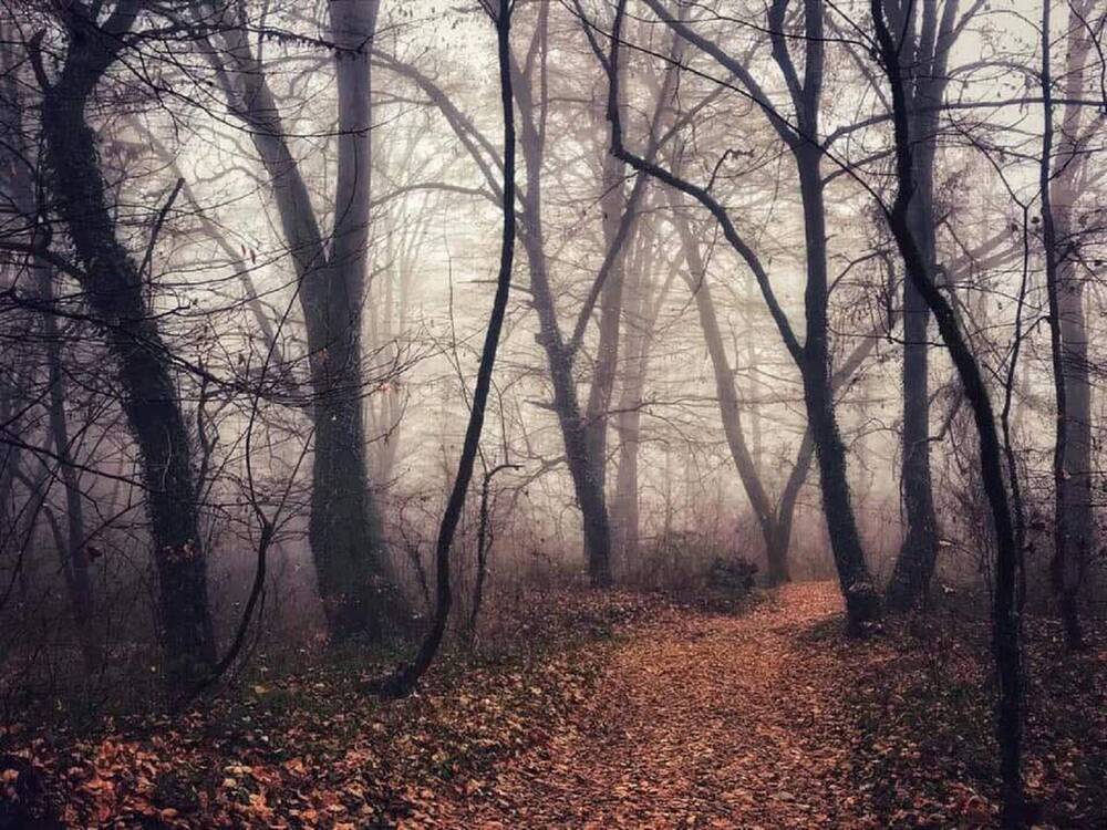 Photograph by Nunu Gambashidze