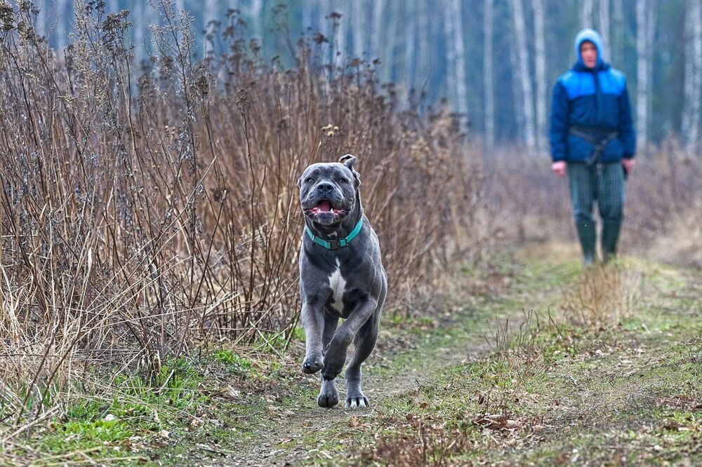 Photograph by Boeva Yuliya