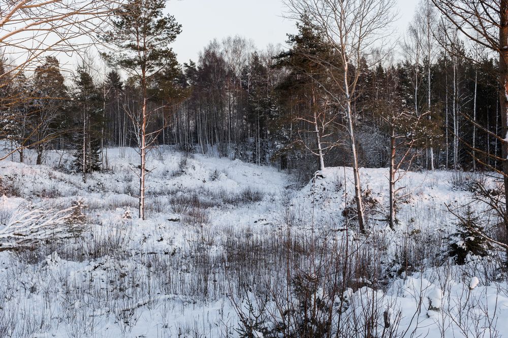 Фотография автора Inga Ivanova