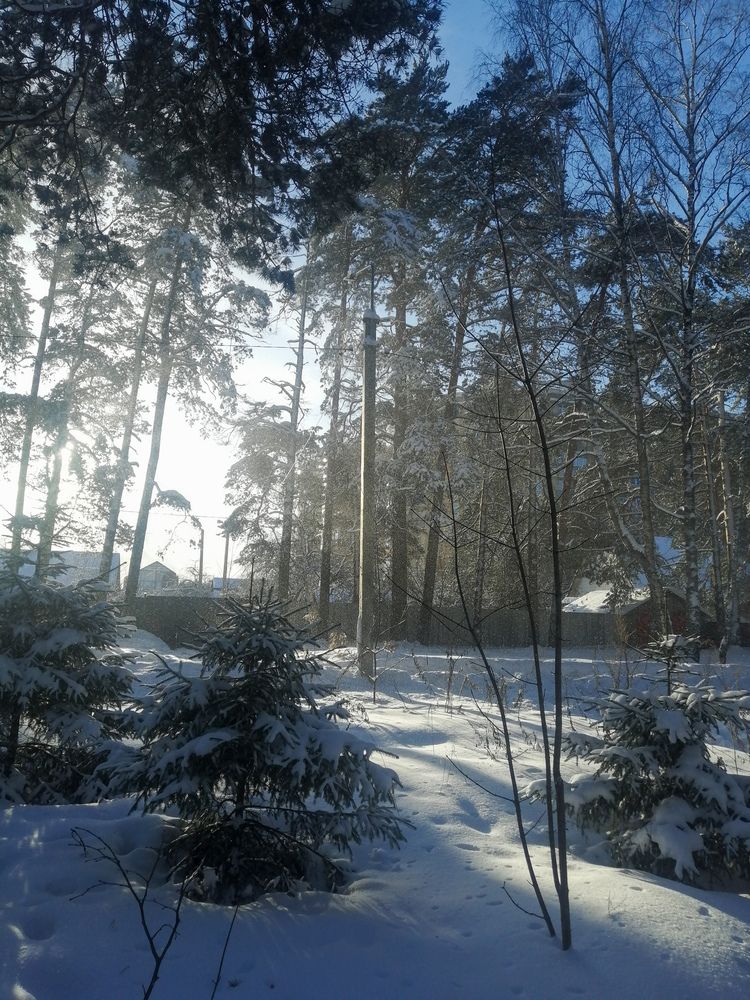 Photograph by Серафима Футлярова