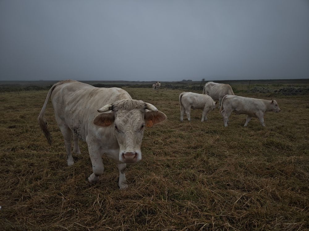 Photograph by Александра Шилова