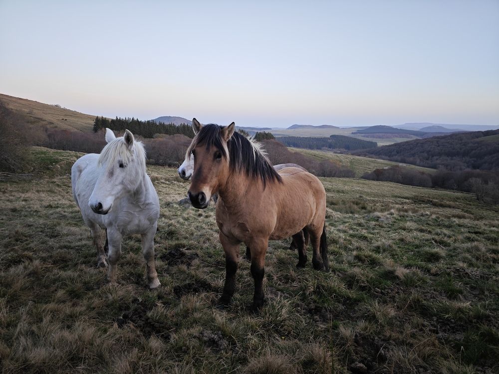 Photograph by Александра Шилова