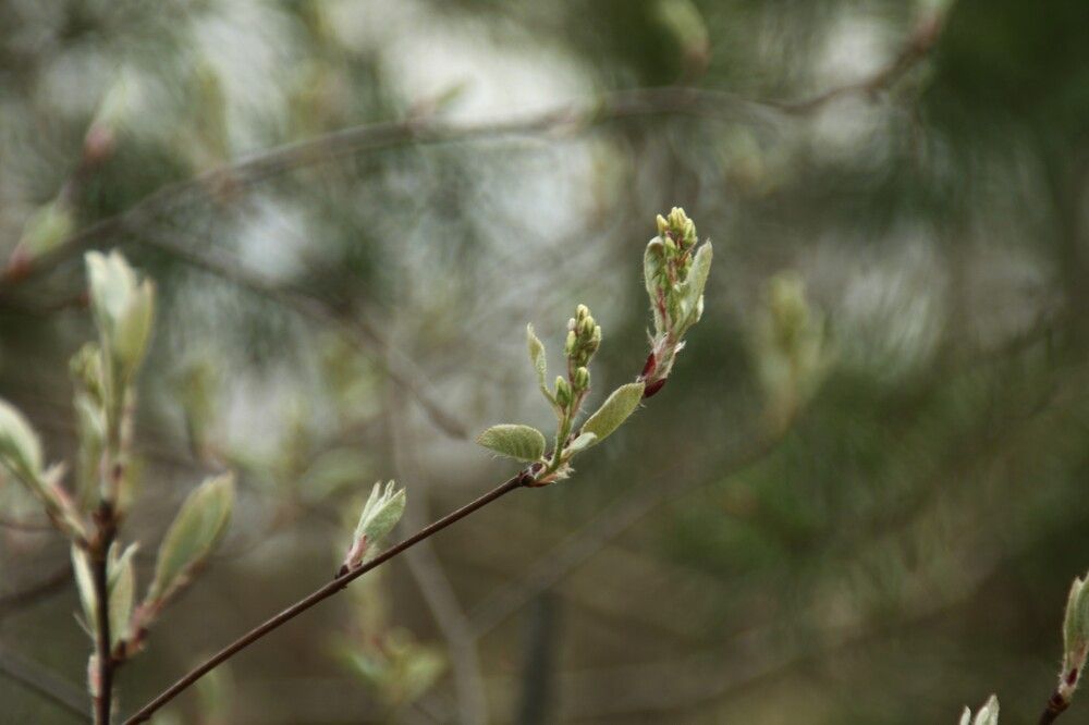 Photograph by Viktorija Bočarova