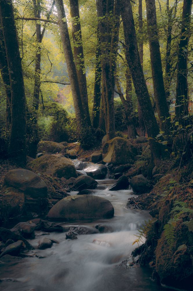 Photograph by Samir Meftah