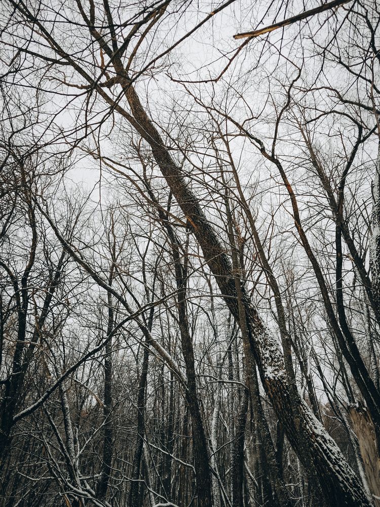 Photograph by Оксана Рогалева