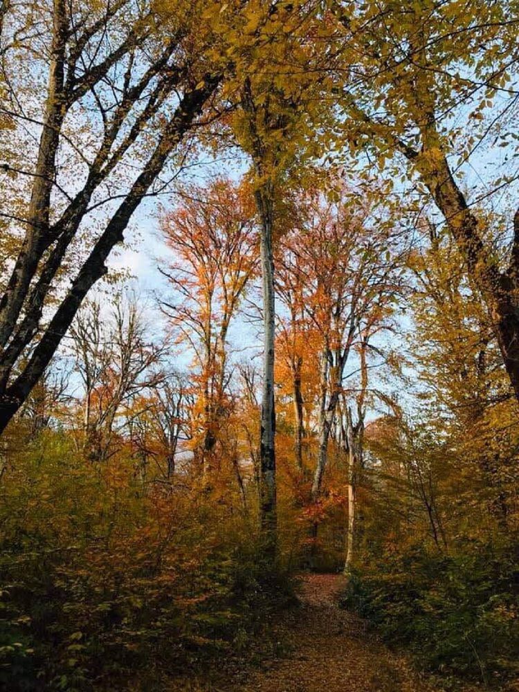 Photograph by Nunu Gambashidze