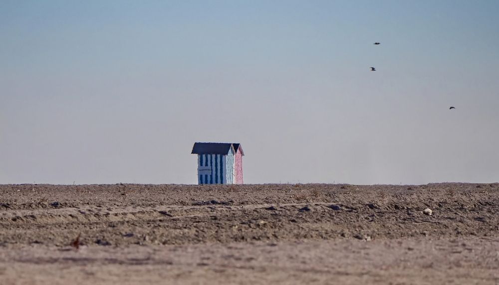 Photograph by Octavian Timosco