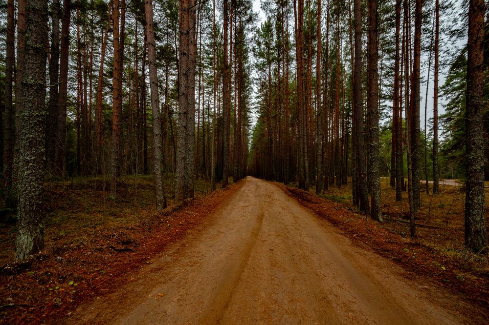 Photograph by Владислав Лопатов