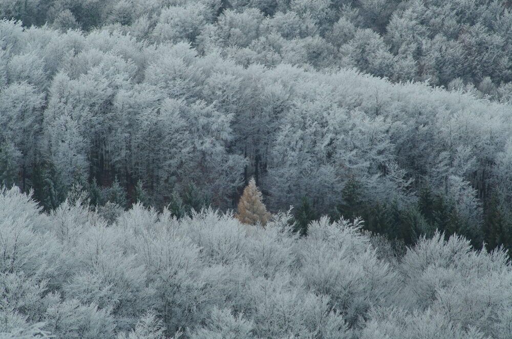 Photograph by Damir Gržin