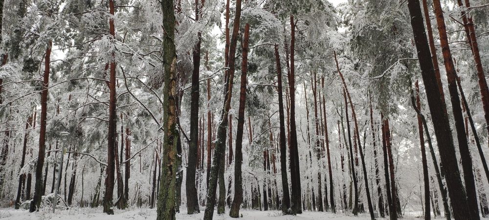 Photograph by Марийона Савоненко