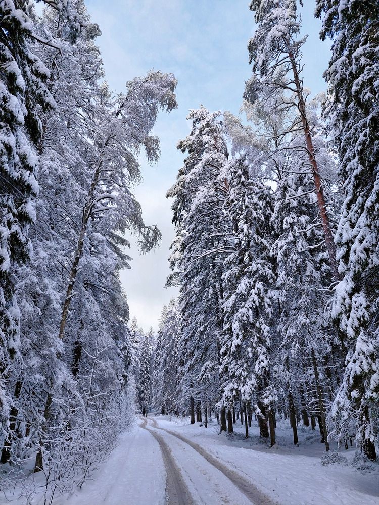 Photograph by Ирина Румянцева