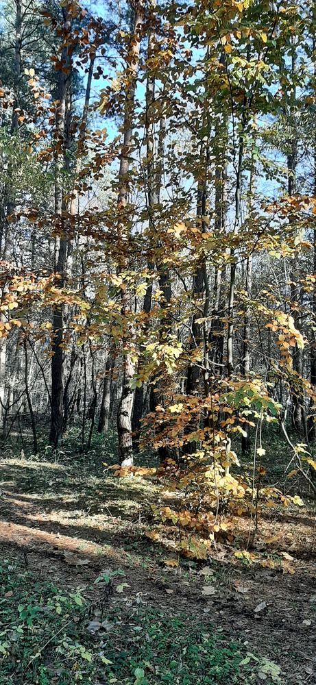 Photograph by Марийона Савоненко