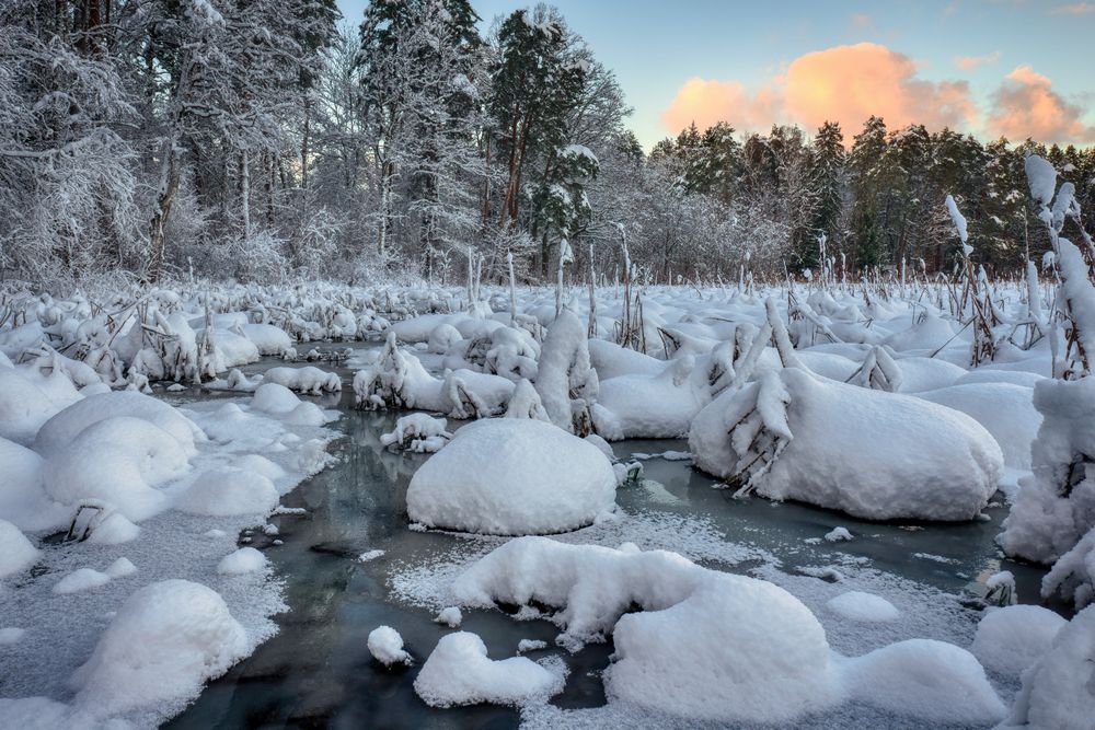 Photograph by Kulikova Albina