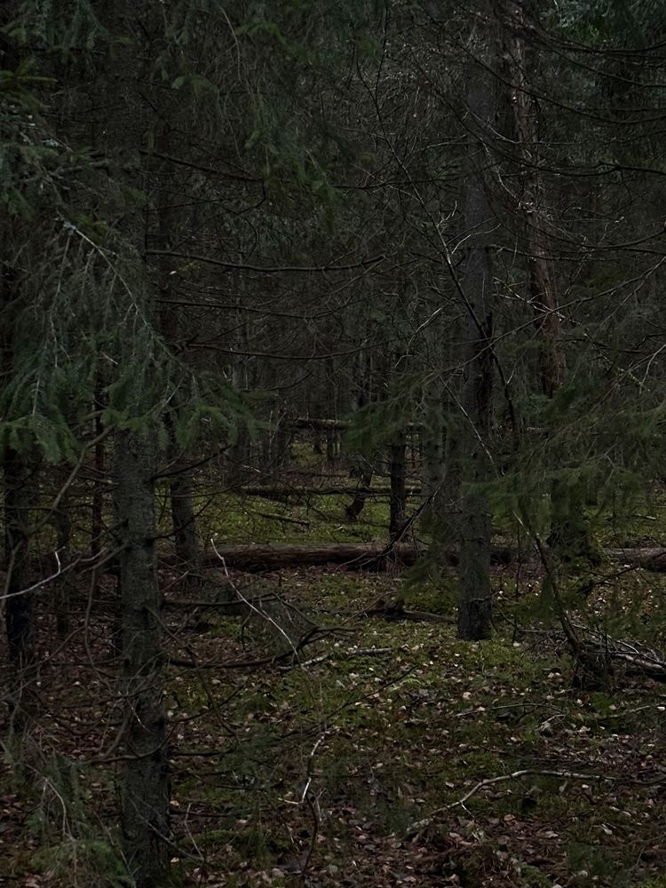 Photograph by Jekaterina Michejeva