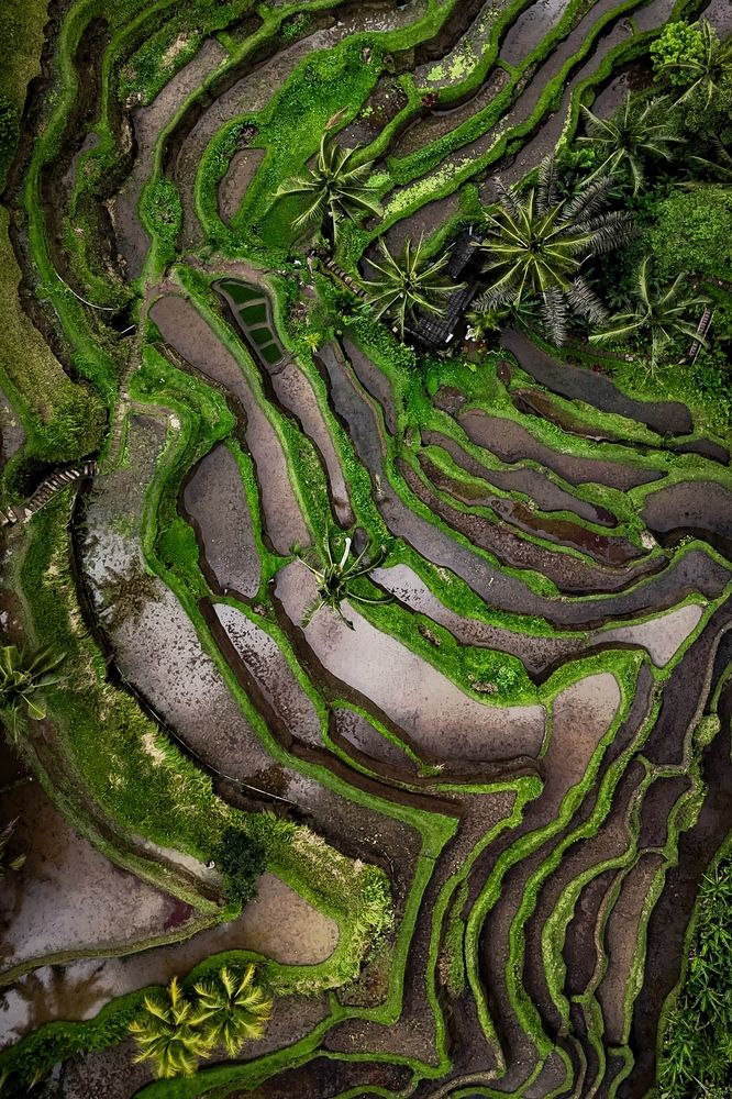 Фотография автора Henri Fitriadi