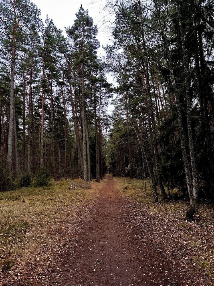 Photograph by Jekaterina Michejeva