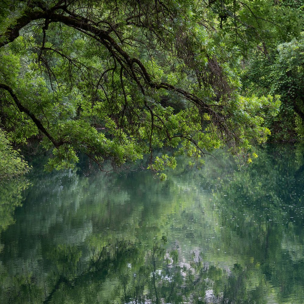 Photograph by Анна Стрелковская