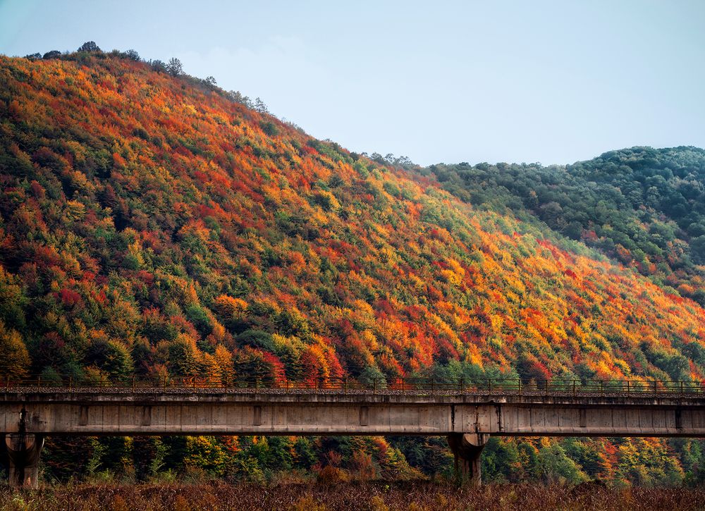 Фотография автора Arash Kaviani