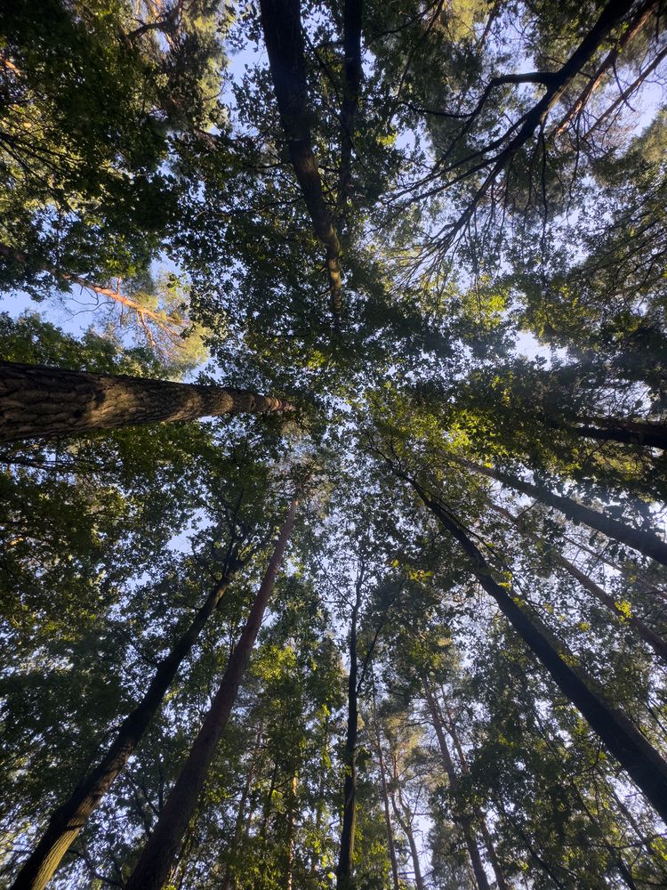 Фотография автора Sheikh Masud
