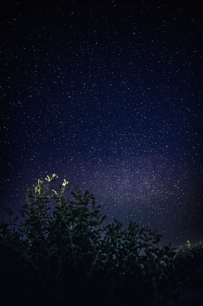 Фотография автора Sarrah Yehia