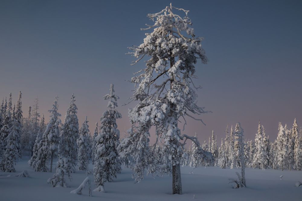 Photograph by Мария Казакова