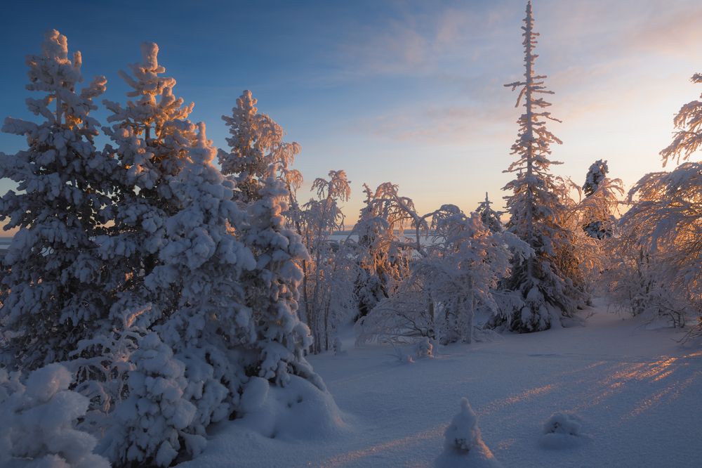 Photograph by Мария Казакова