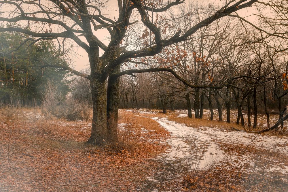 Фотография автора Дмитрий Бродовой