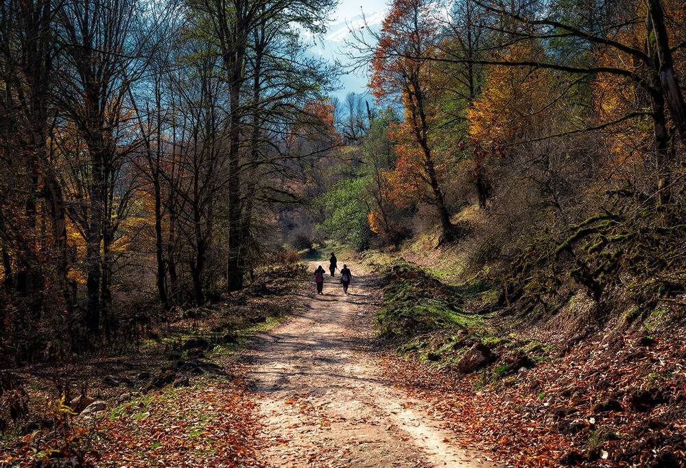 Фотография автора Arash Kaviani