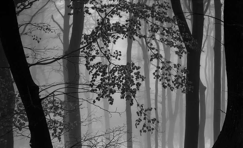 Photograph by Milan Uhrin