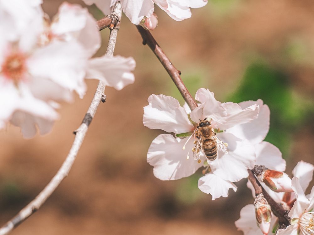 Photograph by Ольга Семеркова