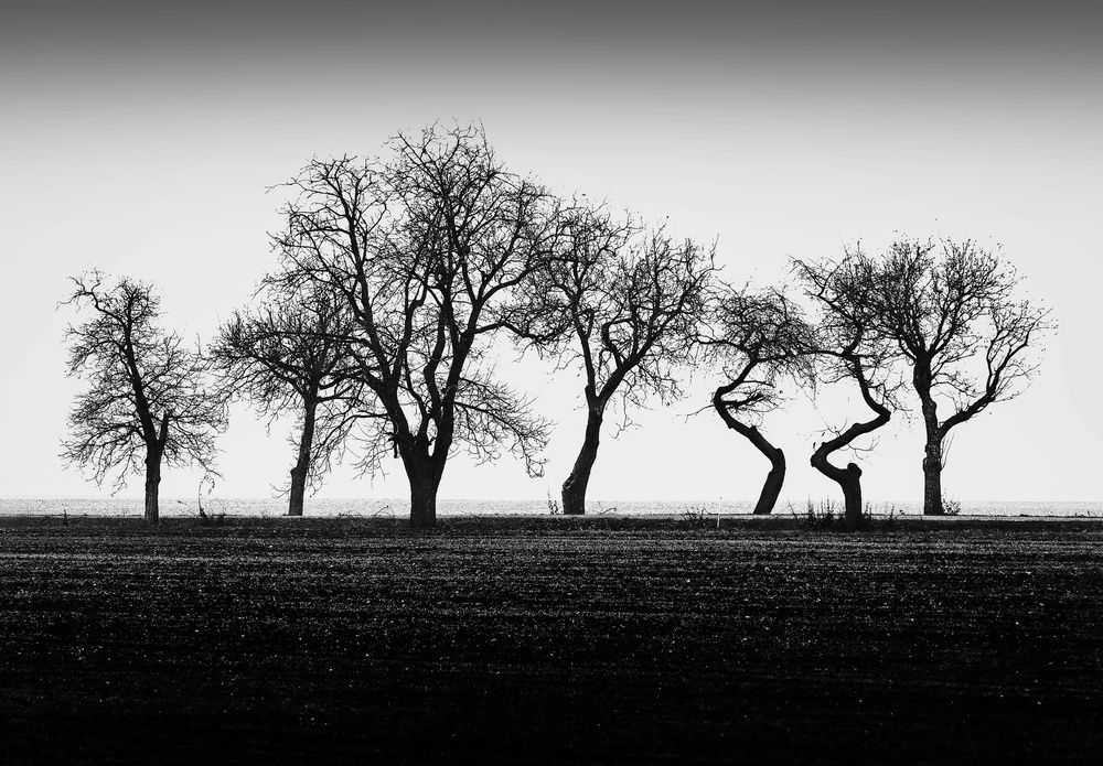 Photograph by Milan Uhrin