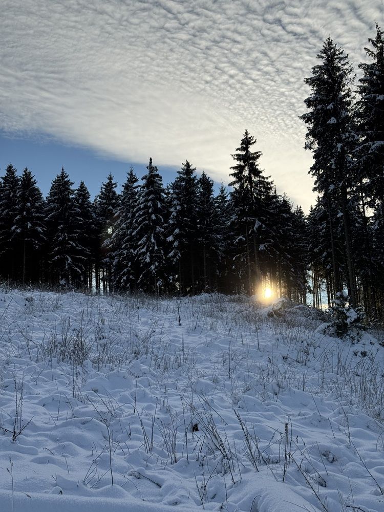 Photograph by Irina Chekanov