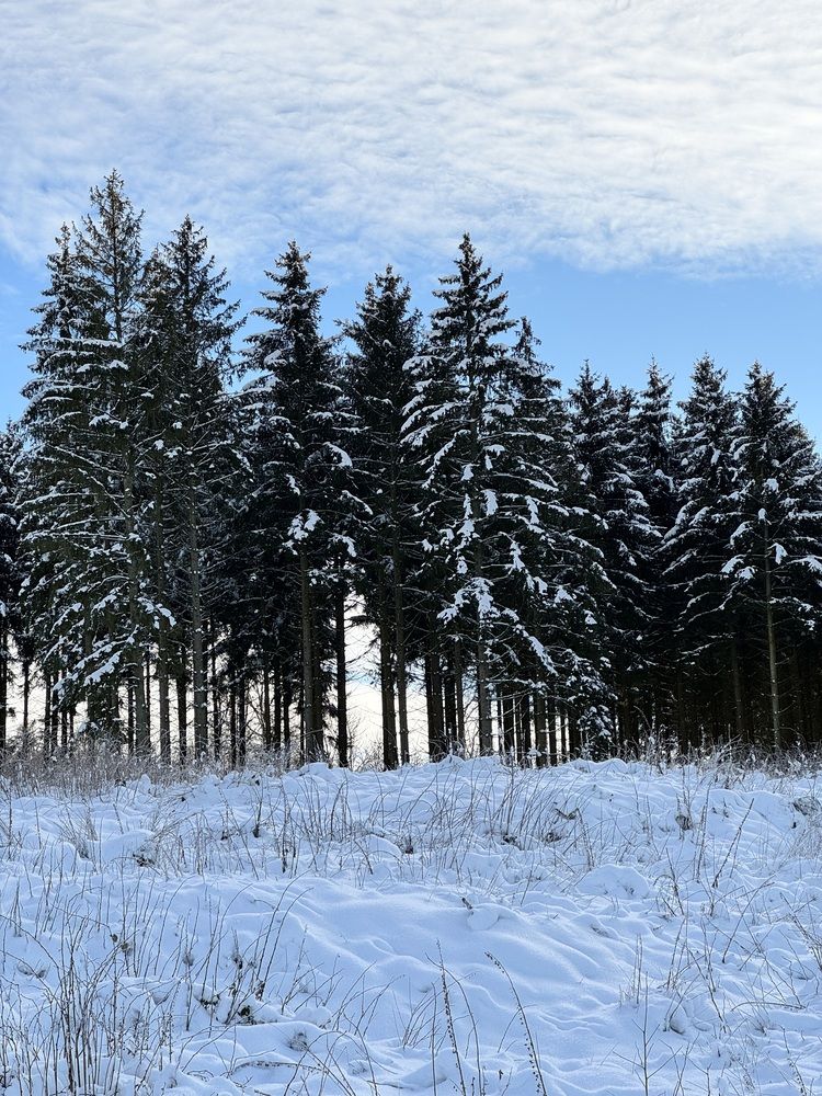 Photograph by Irina Chekanov