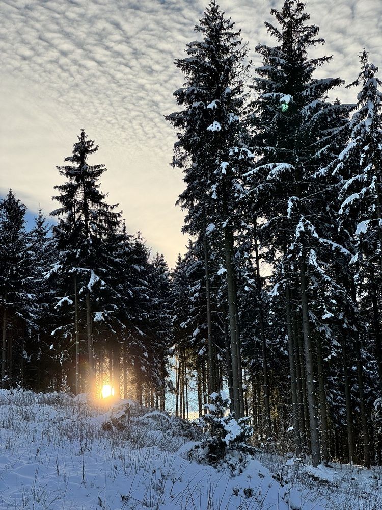 Photograph by Irina Chekanov