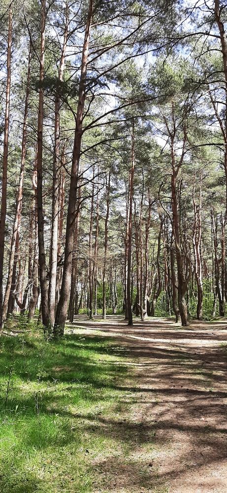 Photograph by Марийона Савоненко