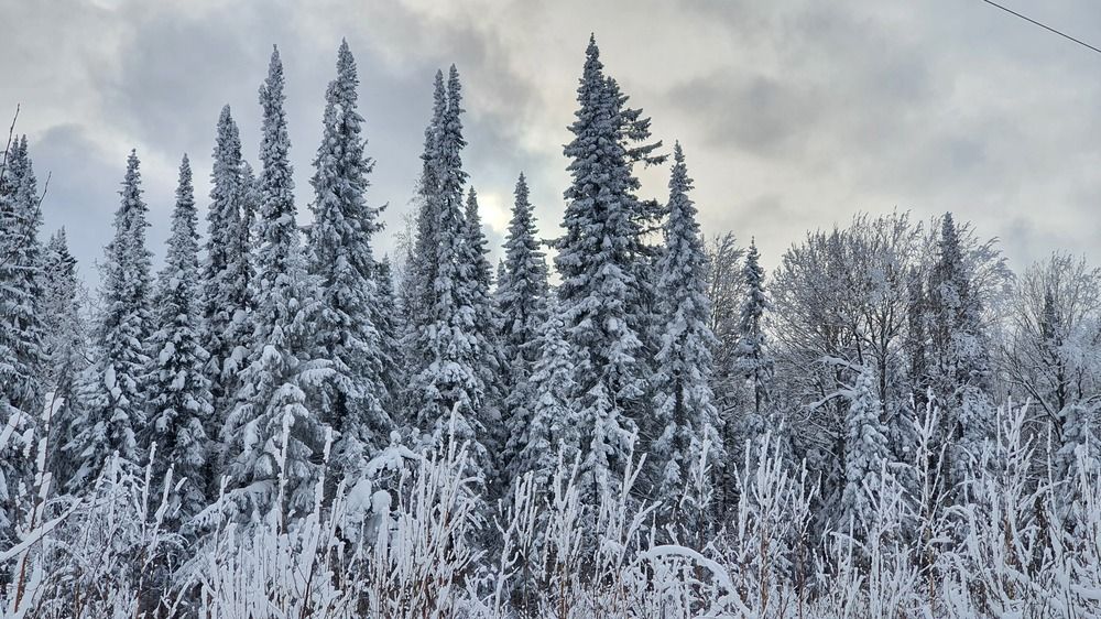 Фотография автора Иван Безрядин