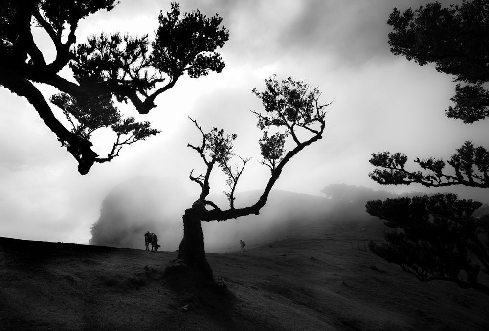 Photograph by Milan Uhrin